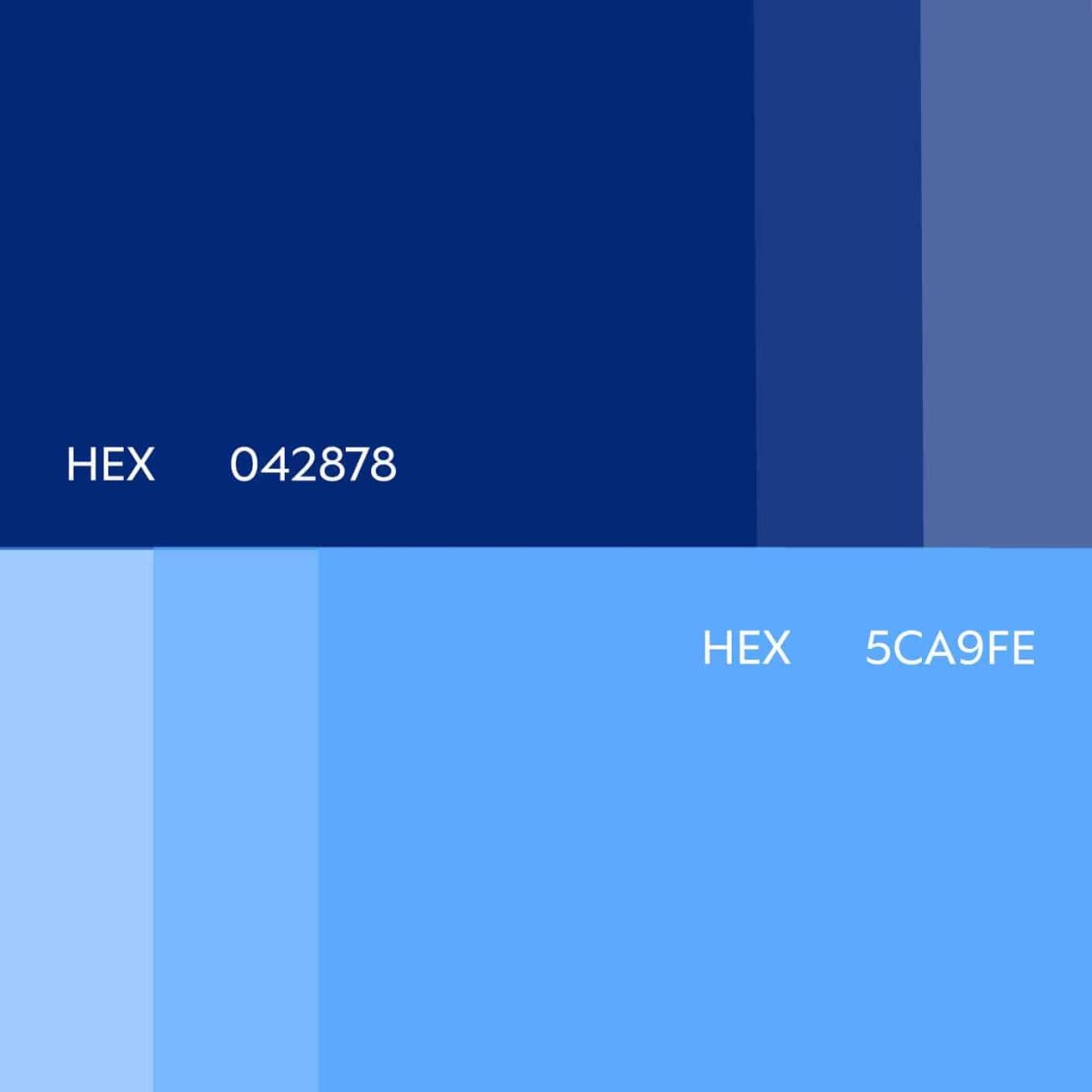 color palette soltros